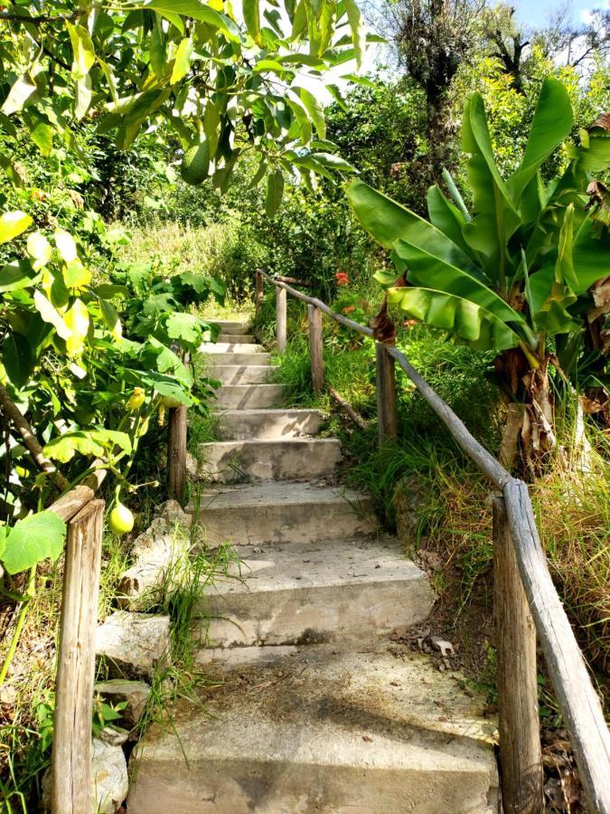 Fundo Wilppani Villa Limatambo Exterior foto
